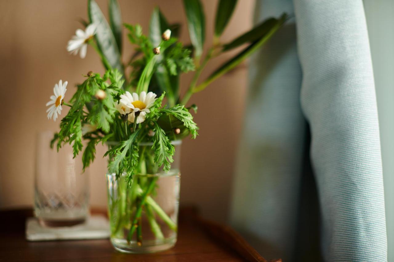 Hotell Baeckagarden Ystad Buitenkant foto