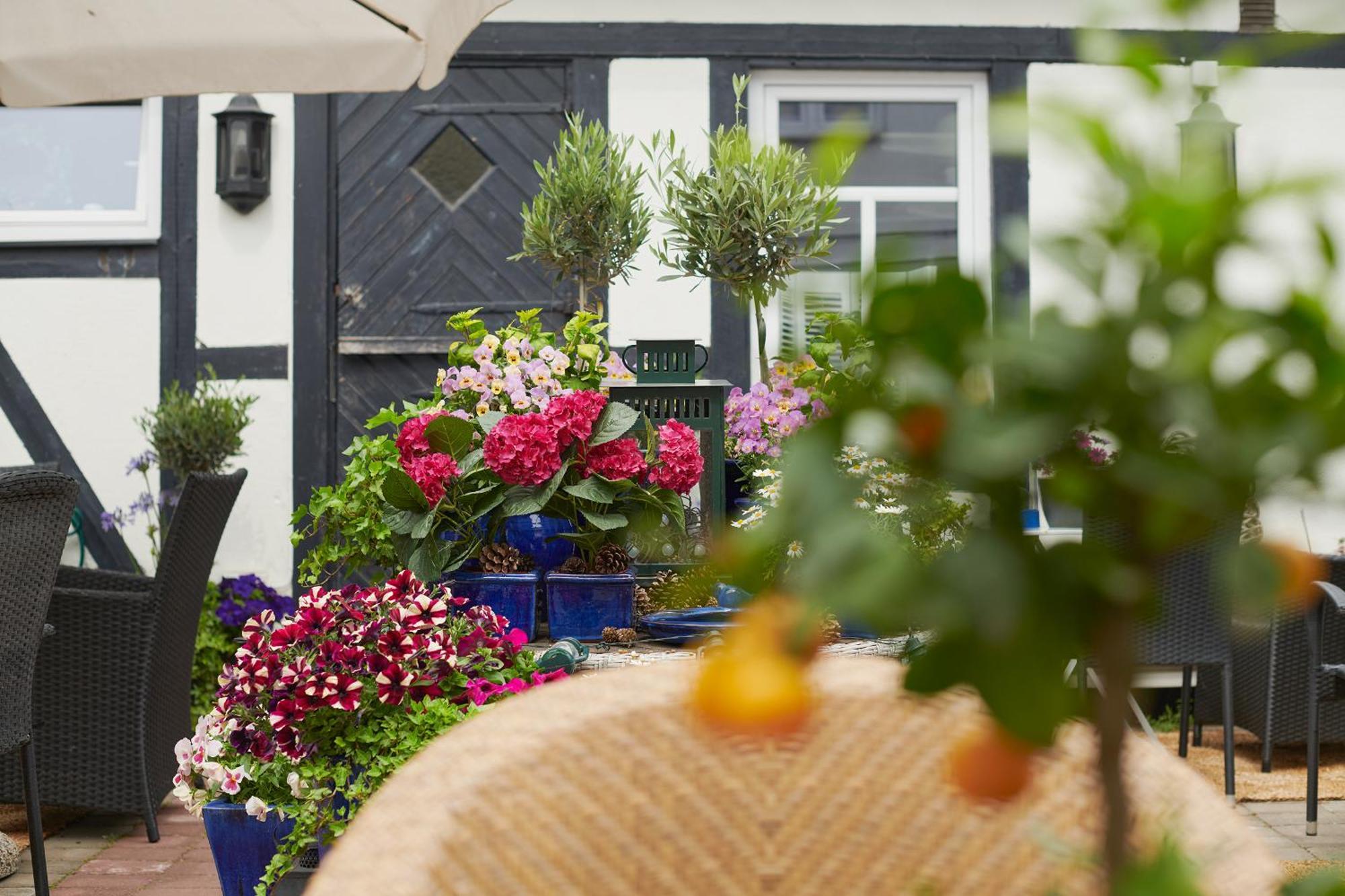 Hotell Baeckagarden Ystad Buitenkant foto