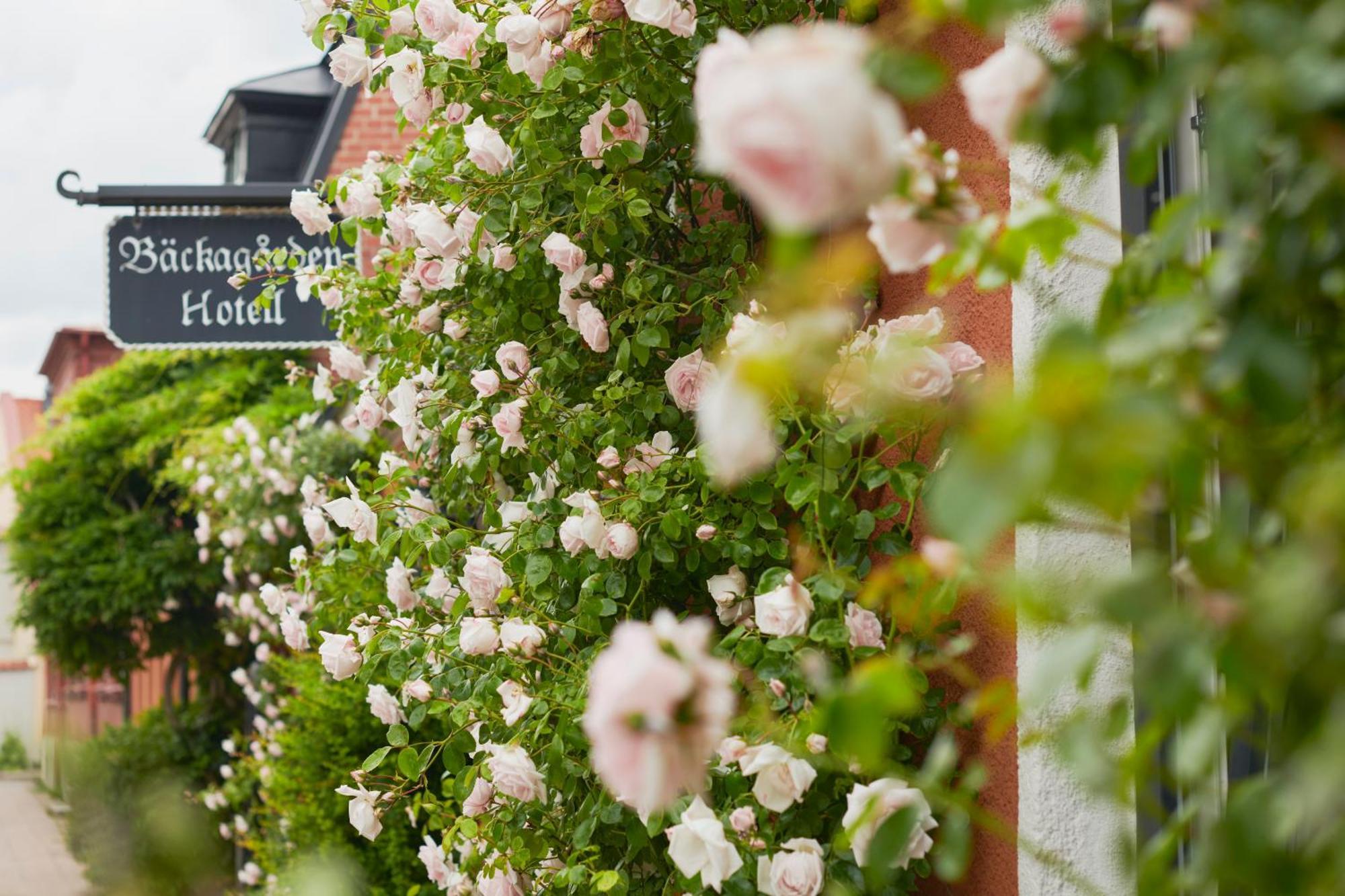 Hotell Baeckagarden Ystad Buitenkant foto